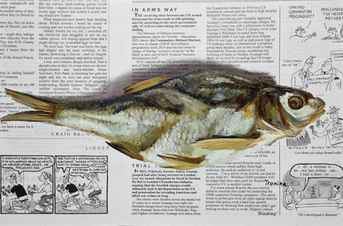 Fisch rotauge bild - rotauge,